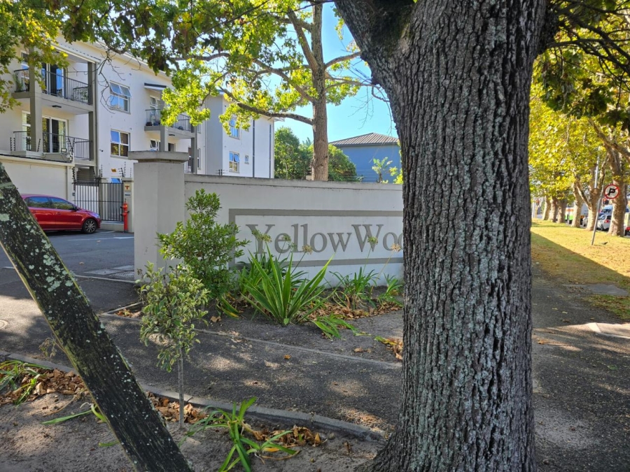 To Let 2 Bedroom Property for Rent in Kenilworth Western Cape